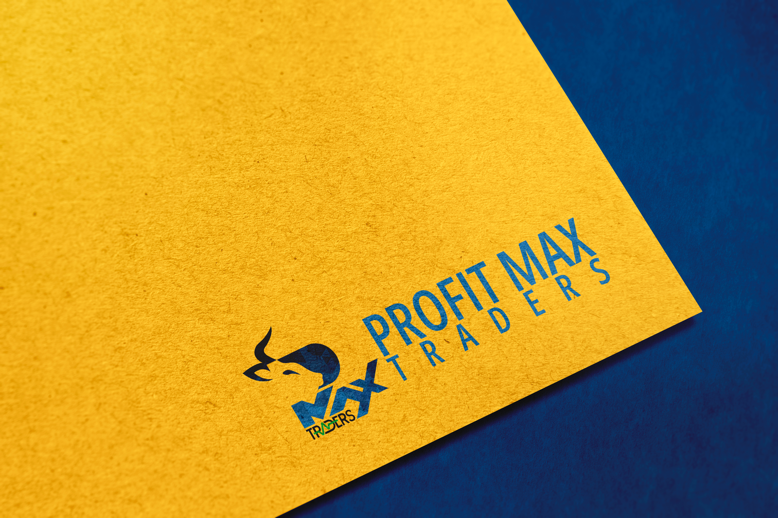 PMT logo mockup